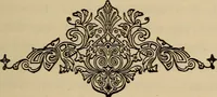 Picture 33 of 44 from Can telepathy explain? : results of psychical research (1902), leaf 168