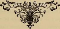 Picture 39 of 44 from Can telepathy explain? : results of psychical research (1902), leaf 216