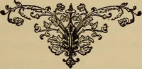 Picture 9 of 44 from Can telepathy explain? : results of psychical research (1902), leaf 56