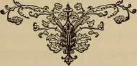 Picture 16 of 44 from Can telepathy explain? : results of psychical research (1902), leaf 88