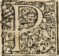 An illustration from Canto harmonico : in cinque parti diviso, col quale si può arriuare alla perfetta cognitione del canto fermo (1690)