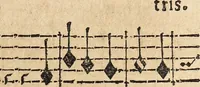 An illustration from Canto harmonico : in cinque parti diviso, col quale si può arriuare alla perfetta cognitione del canto fermo (1690)