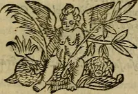 Picture 13 of 30 from Canzonette del sig. Gasparo Murtola : con altre rime del medesimo non più stampate (1608), leaf 218
