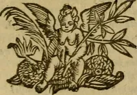 An illustration from Canzonette del sig. Gasparo Murtola : con altre rime del medesimo non più stampate (1608)