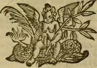 Picture 29 of 30 from Canzonette del sig. Gasparo Murtola : con altre rime del medesimo non più stampate (1608), leaf 428