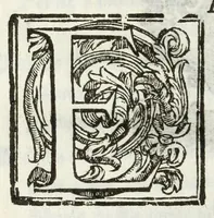 An illustration from Capitoli della bellezza (1605)