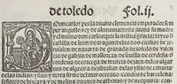 An illustration from Capitulos nueuamente concedidos por la S.C.C.M. del emperador y rey n[uest]ro señor: en las cortes q[ue] tuuo y celebro en la ciudad de Toledo en el año passado de. mil. [et] D. & xxxix. años. : Con la declaracion de las pregmaticas de las mulas, y quartaos [sic]. Juntamente con los capitulos d[e]cedidos que assi mismo tuuo, y celebro en la villa de Ualladolid: este año de mill [et] D. xl.ii. años. (1542)