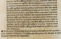 An illustration from Capitulos y leyes discedidos en las cortes q[ue] Su Magestad del rey don Phelipe nuestro señor tuuo y celebro en la ciudad de Toledo: q[ue] se començaro[n] el año passado de M.D. Lix. y se fenesciero[n] y acabaro[n] este presente año de mil y quinientos y sesenta. : Van añadidas. La pregmatica para q[ue] ningu[n] natural destos reynos vaya a estudiar fuera d[e]llos. Y vna prouision q[ue] Su M[agestad] mando hazer cerca de la talla delas aues q[ue] se toma[n] para la caça de su M[agestad]. Y otra pregmatica para q[ue] los gitanos no anden por estos reynos. Y otra prouisio[n] para q[ue] los mesones este[n] bie[n] proueydos de los mantenie[n]tos necessarios. Y vna cedula de Su M[agestad] sobre la orden q[ue] se ha de tener en los recognoscimie[n]tos de conocimientos y execucion dellos (1560)