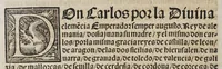 An illustration from Capítulos nueuame[n]te concedidos por la S.C.C.M. del emperador y rey nuestro señor en las cortes que tuuo y celebro en la ciudad de Toledo: en el año passado de M.D.[y] xxix. años. : Con la declaracio[n] de las pregmaticas de las mulas, y q[ua]rtagos. Juntame[n]te con los capitulos dicedidos en las cortes q[ue] assi mismo tuuo, y celebro en la villa de Valladolid: este año de mil [y] quinientos [y] xl.ij. años (1545)