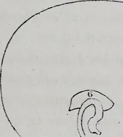 Picture 16 of 53 from Caractères phrénologiques et physiognomoniques des contemporains les plus célèbres, selon les systèmes de Gall, Spurzheim, Lavater, etc. (1837), leaf 158