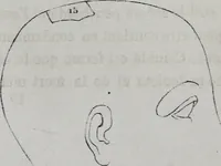 Picture 26 of 53 from Caractères phrénologiques et physiognomoniques des contemporains les plus célèbres, selon les systèmes de Gall, Spurzheim, Lavater, etc. (1837), leaf 241