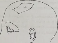 An illustration from Caractères phrénologiques et physiognomoniques des contemporains les plus célèbres, selon les systèmes de Gall, Spurzheim, Lavater, etc. (1837)