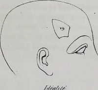 Picture 32 of 53 from Caractères phrénologiques et physiognomoniques des contemporains les plus célèbres, selon les systèmes de Gall, Spurzheim, Lavater, etc. (1837), leaf 282