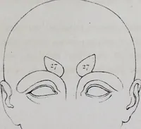 An illustration from Caractères phrénologiques et physiognomoniques des contemporains les plus célèbres, selon les systèmes de Gall, Spurzheim, Lavater, etc. (1837)