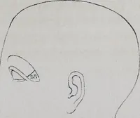 Picture 44 of 53 from Caractères phrénologiques et physiognomoniques des contemporains les plus célèbres, selon les systèmes de Gall, Spurzheim, Lavater, etc. (1837), leaf 384