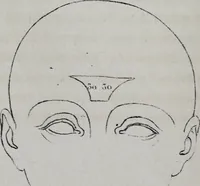 An illustration from Caractères phrénologiques et physiognomoniques des contemporains les plus célèbres, selon les systèmes de Gall, Spurzheim, Lavater, etc. (1837)