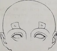 An illustration from Caractères phrénologiques et physiognomoniques des contemporains les plus célèbres, selon les systèmes de Gall, Spurzheim, Lavater, etc. (1837)