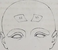 An illustration from Caractères phrénologiques et physiognomoniques des contemporains les plus célèbres, selon les systèmes de Gall, Spurzheim, Lavater, etc. (1837)