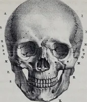 An illustration from Caractères phrénologiques et physiognomoniques des contemporains les plus célèbres, selon les systèmes de Gall, Spurzheim, Lavater, etc. (1837)