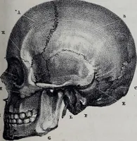 An illustration from Caractères phrénologiques et physiognomoniques des contemporains les plus célèbres, selon les systèmes de Gall, Spurzheim, Lavater, etc. (1837)