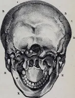 An illustration from Caractères phrénologiques et physiognomoniques des contemporains les plus célèbres, selon les systèmes de Gall, Spurzheim, Lavater, etc. (1837)