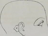 An illustration from Caractères phrénologiques et physiognomoniques des contemporains les plus célèbres, selon les systèmes de Gall, Spurzheim, Lavater, etc. (1837)