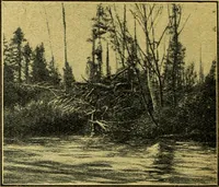 An illustration from Caras y caretas (1898)
