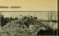 An illustration from Caras y caretas (1898)
