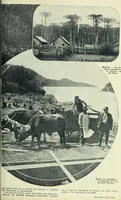An illustration from Caras y caretas (1898)