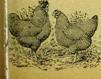 An illustration from Caras y caretas (1898)