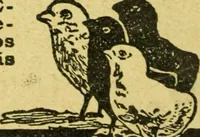 An illustration from Caras y caretas (1898)