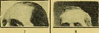 An illustration from Caras y caretas (1898)