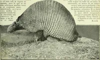 An illustration from Caras y caretas (1898)