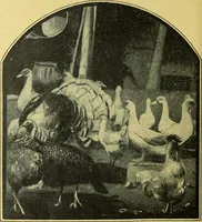 An illustration from Caras y caretas (1898)