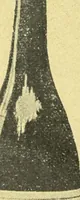 Picture 405 of 2557 from Caras y caretas (1898), leaf 197
