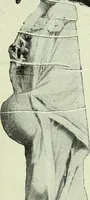 Picture 449 of 2557 from Caras y caretas (1898), leaf 226