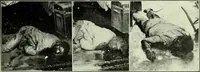 An illustration from Caras y caretas (1898)