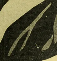 An illustration from Caras y caretas (1898)