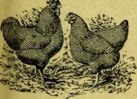 An illustration from Caras y caretas (1898)