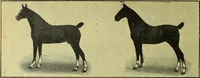 An illustration from Caras y caretas (1898)