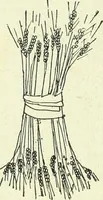An illustration from Caras y caretas (1898)