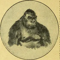 An illustration from Caras y caretas (1898)