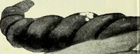 An illustration from Caras y caretas (1898)
