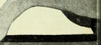 An illustration from Caras y caretas (1898)