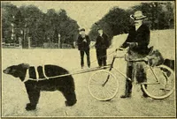 An illustration from Caras y caretas (1898)