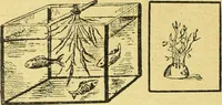 An illustration from Caras y caretas (1898)