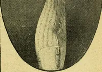 Picture 111 of 2562 from Caras y caretas (1898), leaf 60