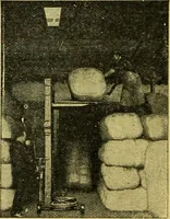 An illustration from Caras y caretas (1898)