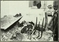 An illustration from Caras y caretas (1898)