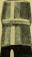 An illustration from Caras y caretas (1898)